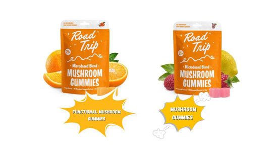Functional Mushroom Gummies