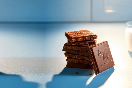 desert stardust mushroom chocolate | mushroom chocolate bars