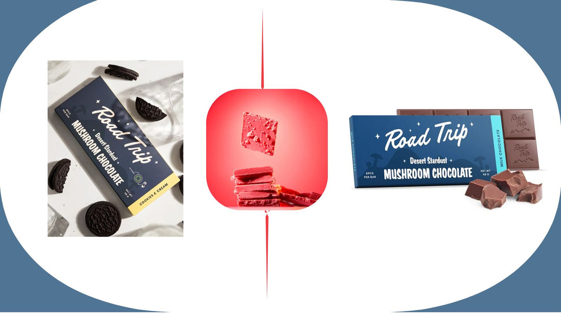 road trip chocolate bar | road trip chocolate bars
