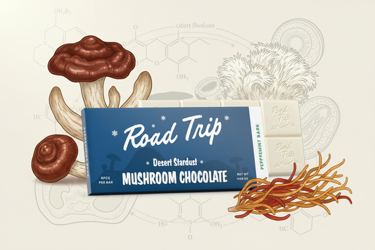 The Science of Adaptogens: How Mushroom Chocolates Fit into Stress Management
